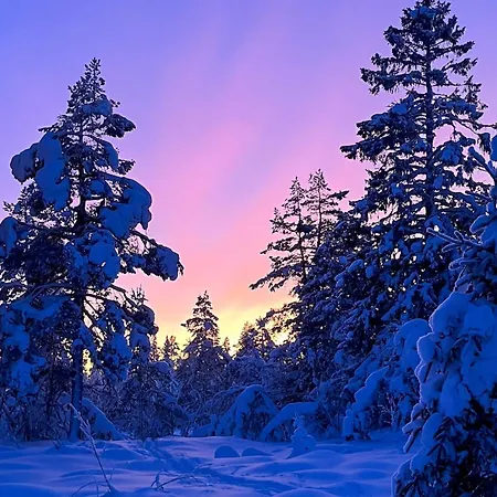 3 Bedroom In * Гуль